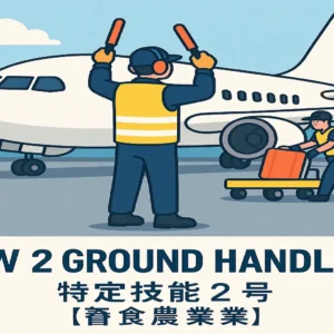 🇬🇧 SSW2 Ground Handling Simulation Test (English)